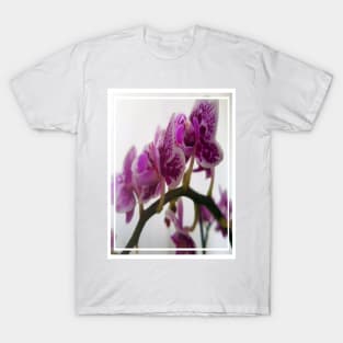 White or Purple Orchid on branch T-Shirt